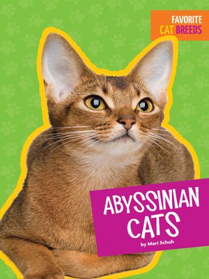 cover image of Abyssinian Cats